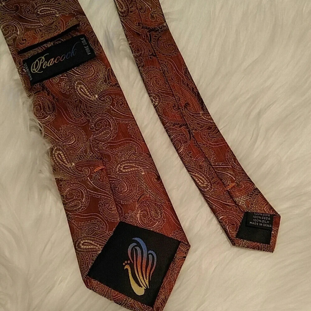NWOT Beautiful Silk Paisley Tie 58